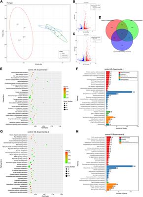 Aquaporin-8 transports hydrogen peroxide to regulate granulosa cell autophagy